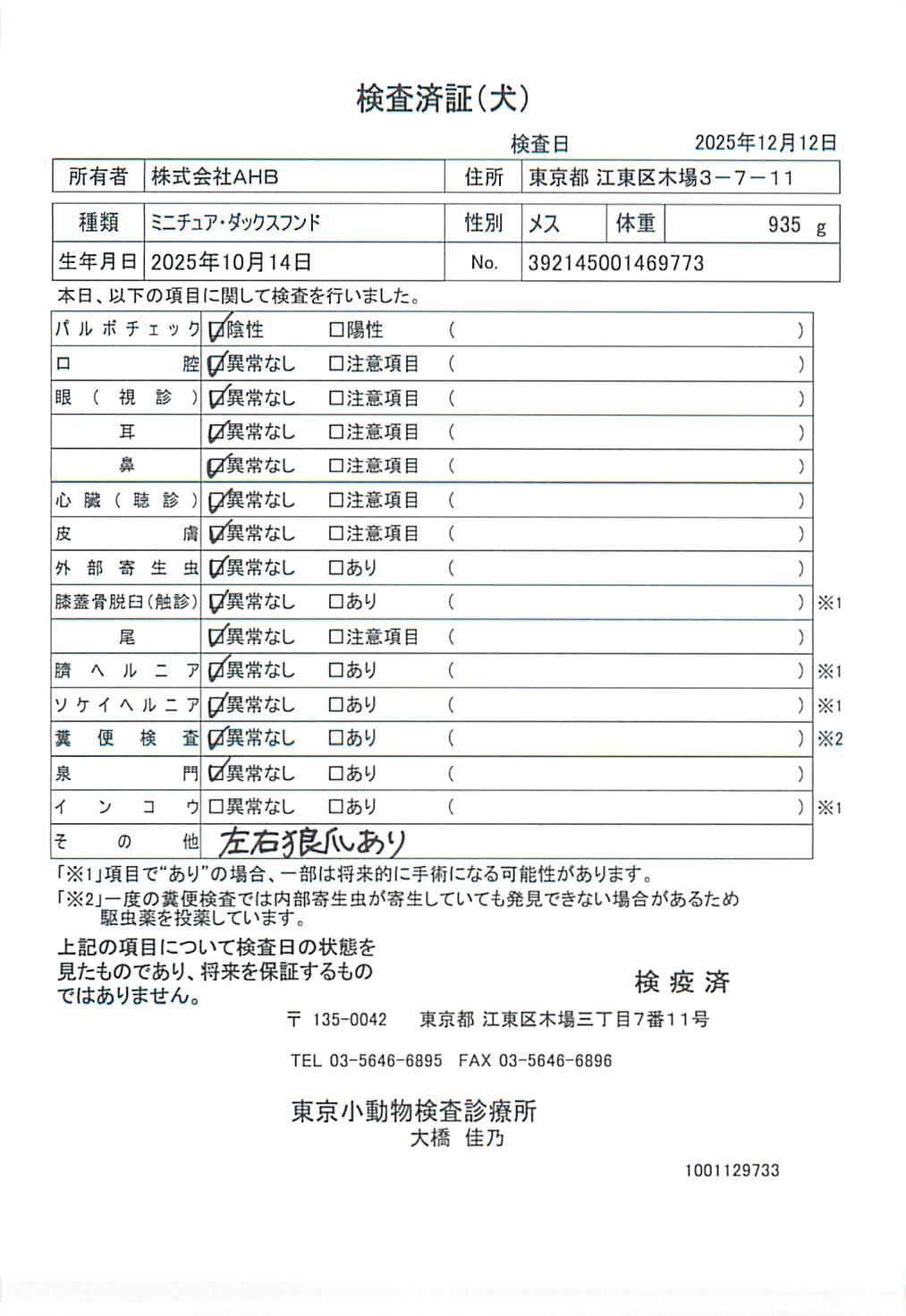 ミニチュア・ダックスフンド