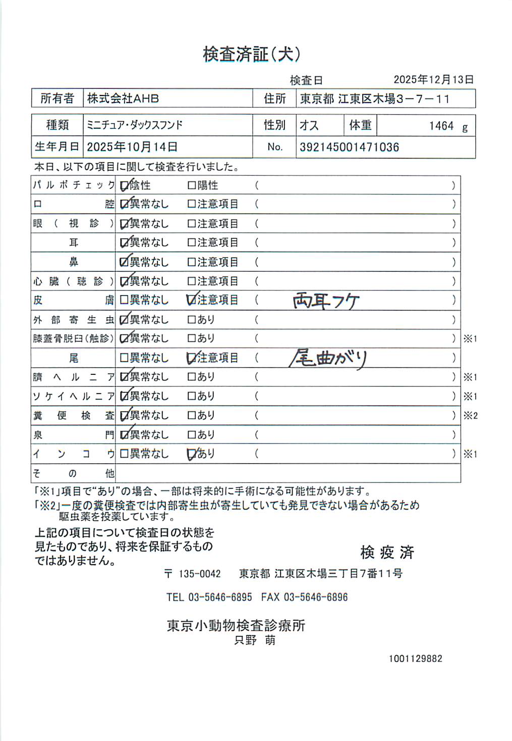 ミニチュア・ダックスフンド
