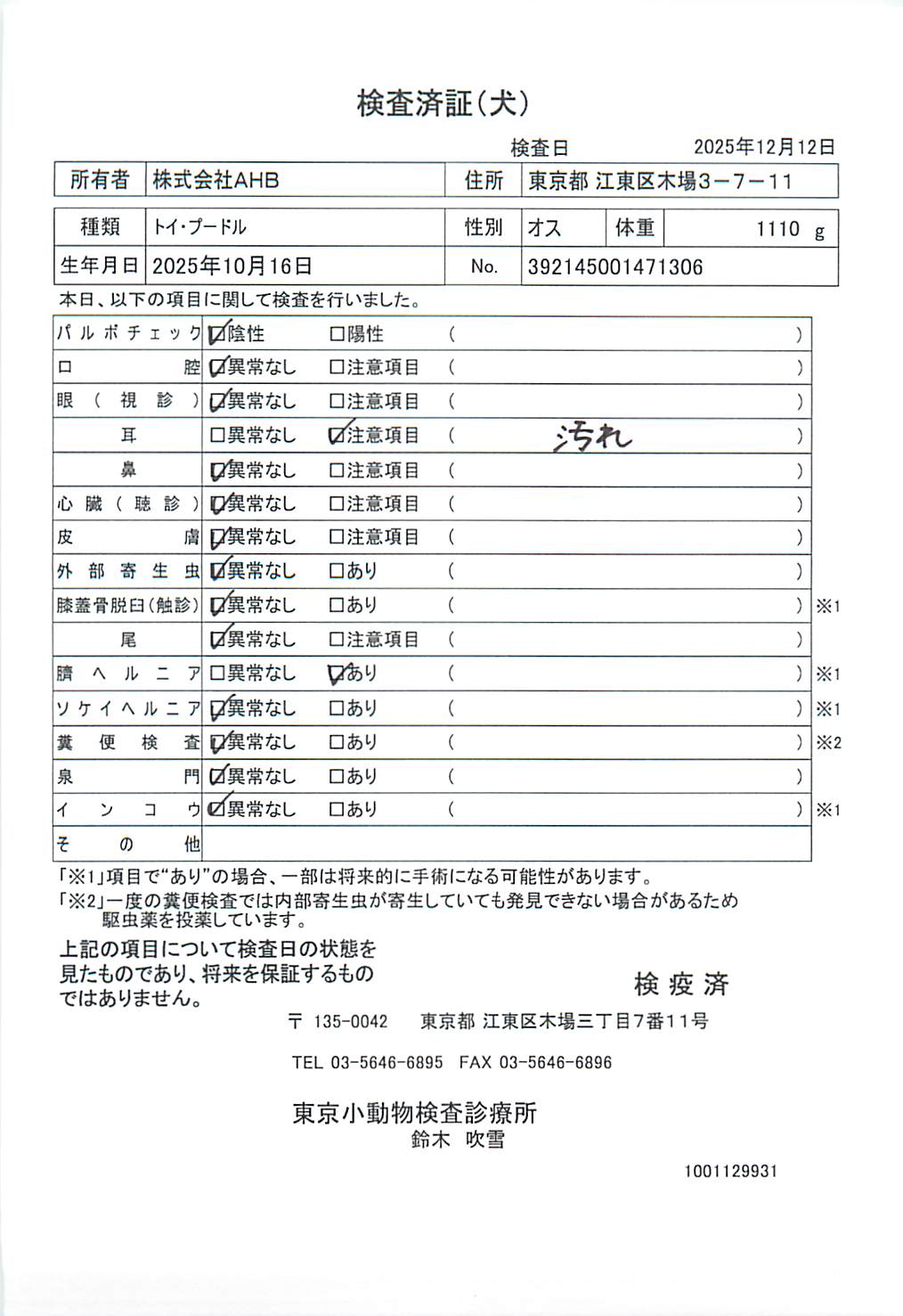 トイ・プードル