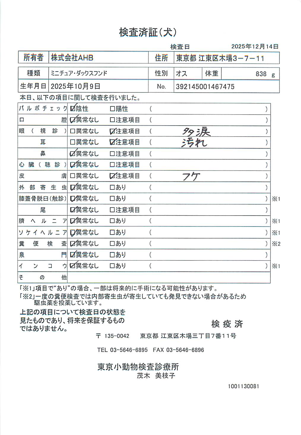 ミニチュア・ダックスフンド