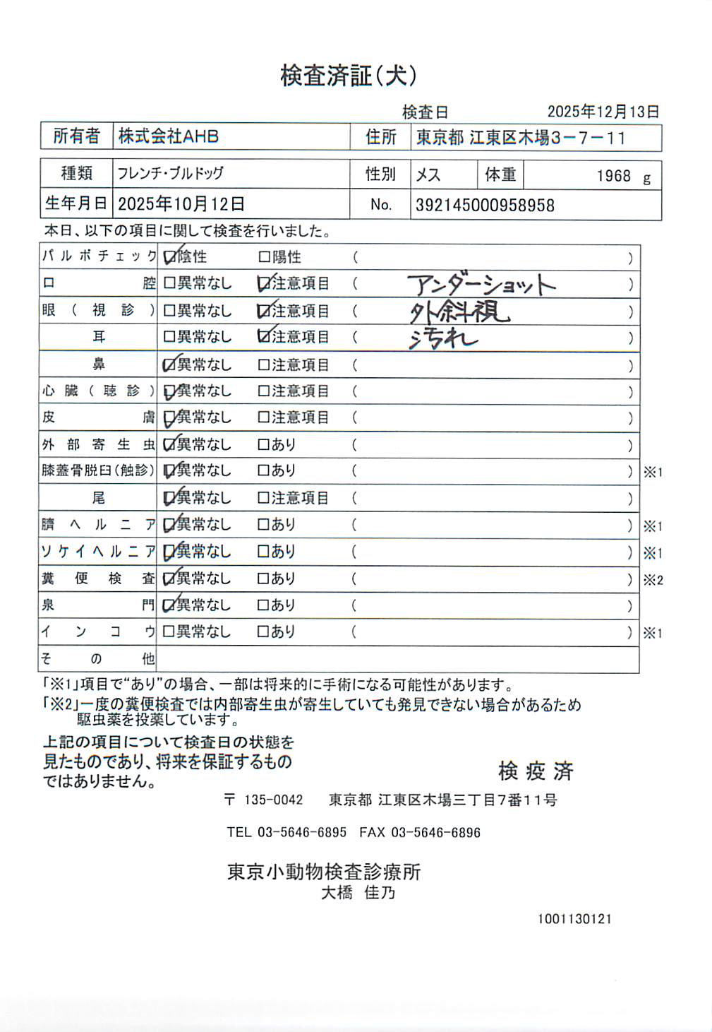 フレンチ・ブルドッグ