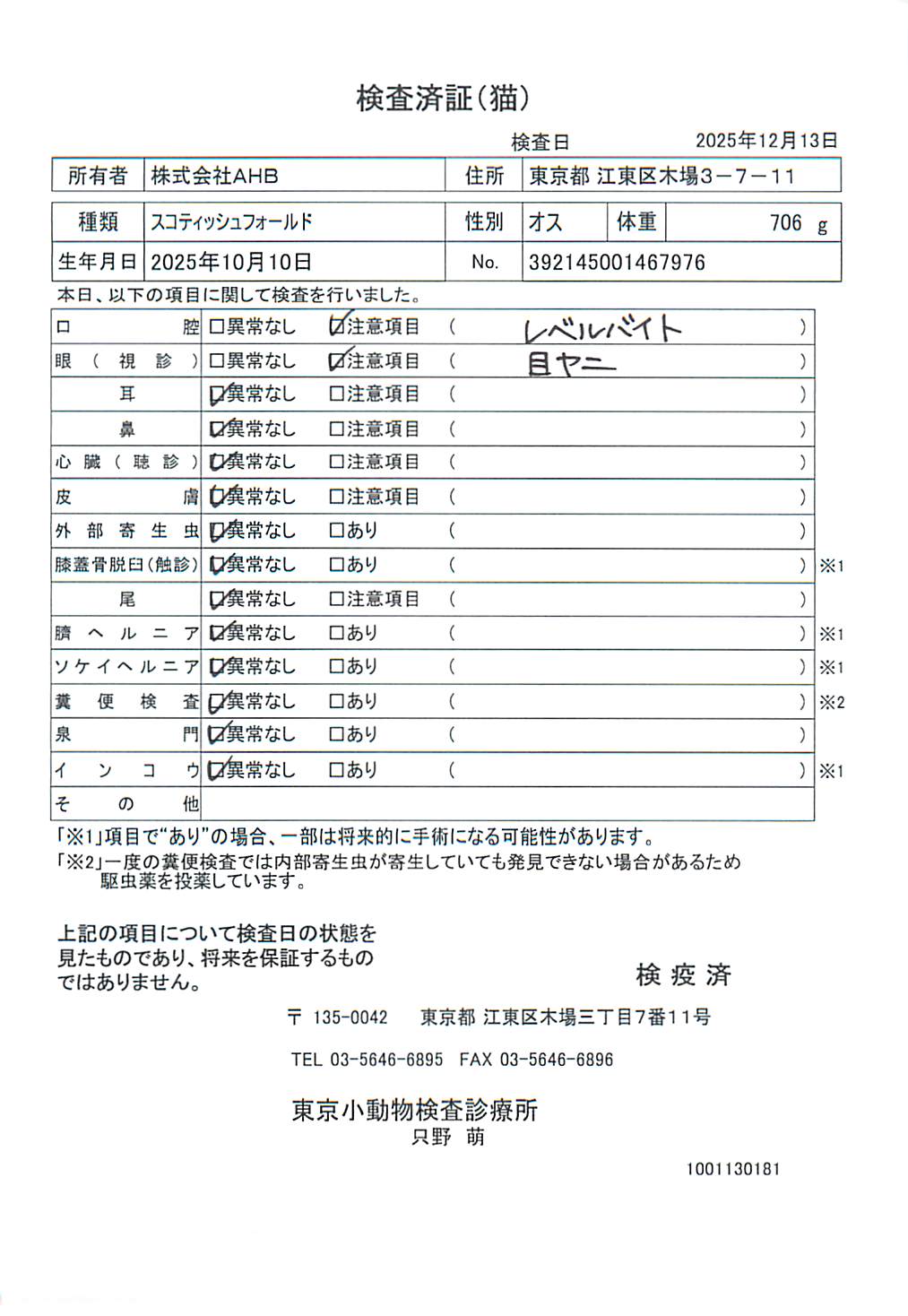 スコティッシュフォールド