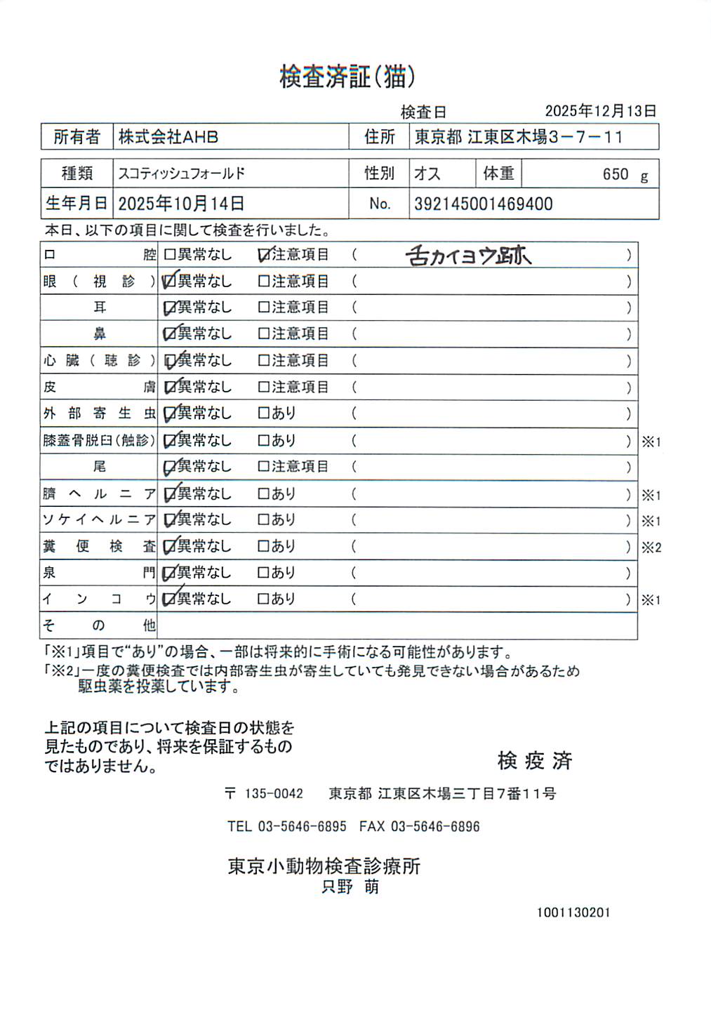 スコティッシュフォールド