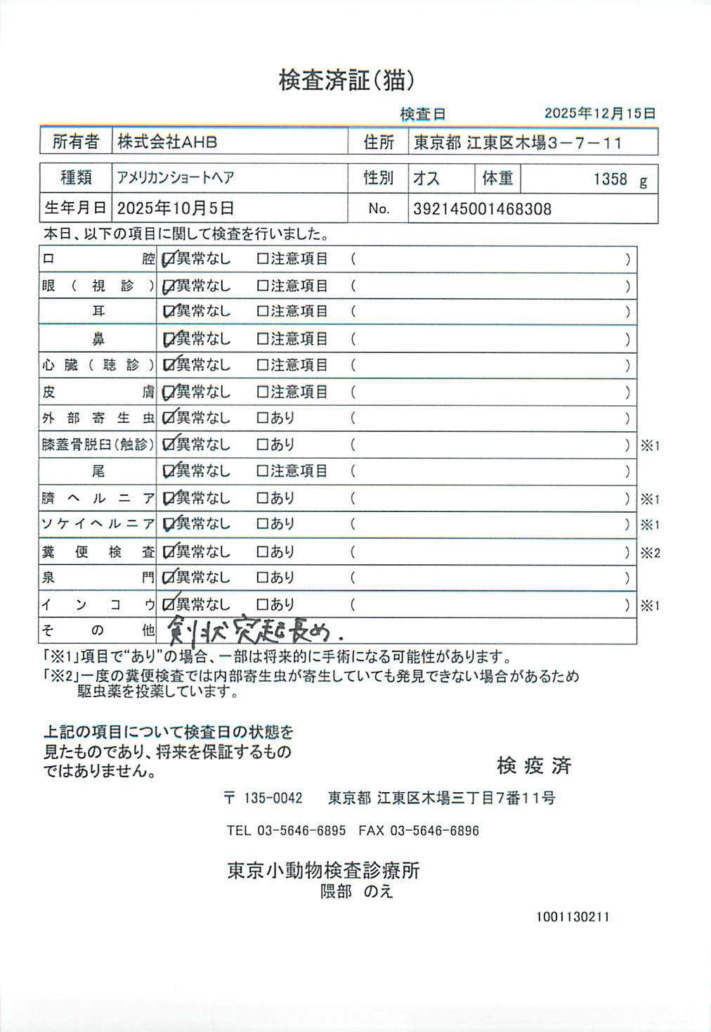 アメリカンショートヘア