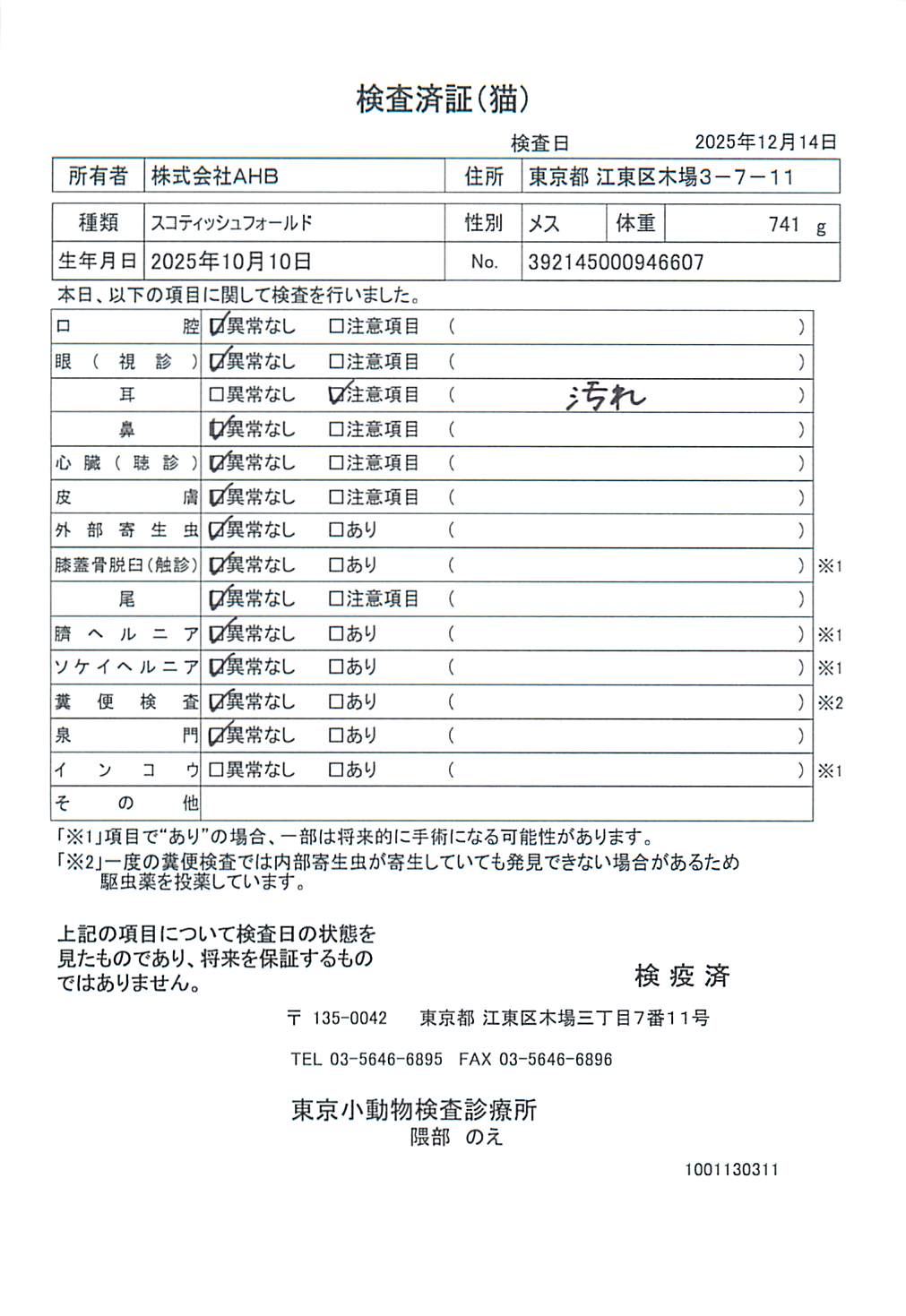 スコティッシュフォールド