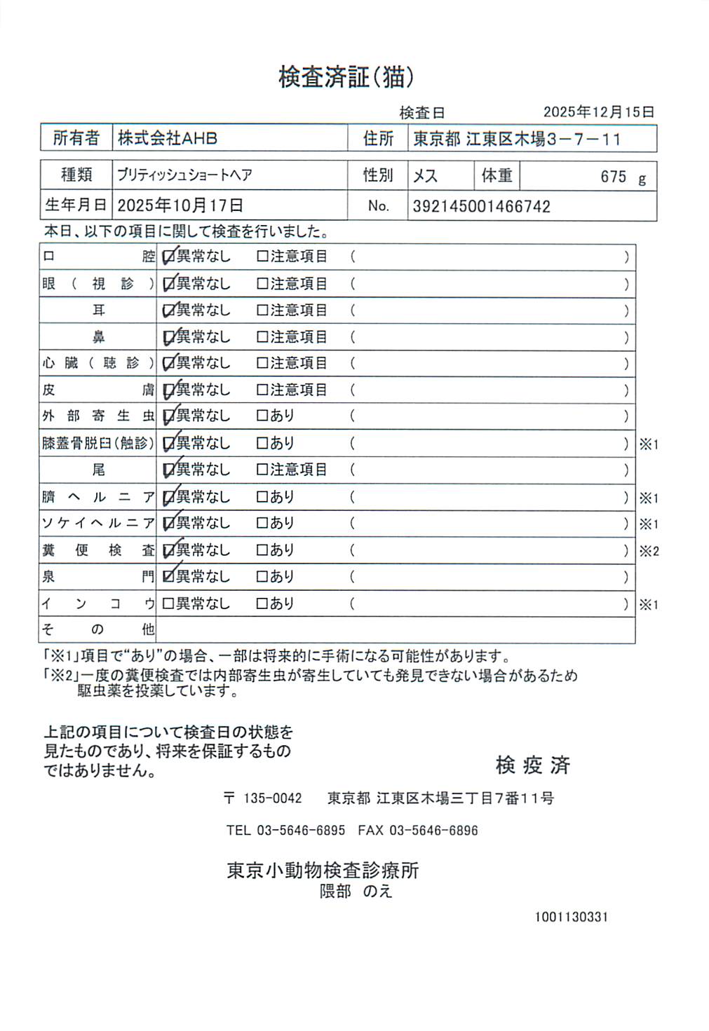 ブリティッシュショートヘア