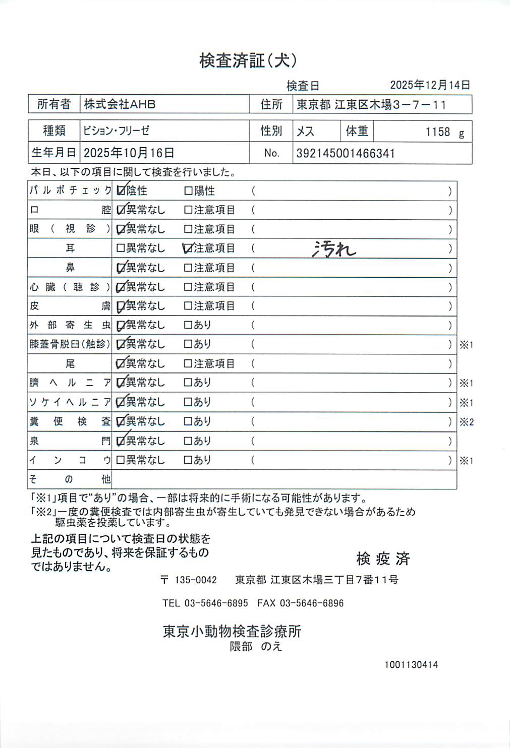 ビション・フリーゼ