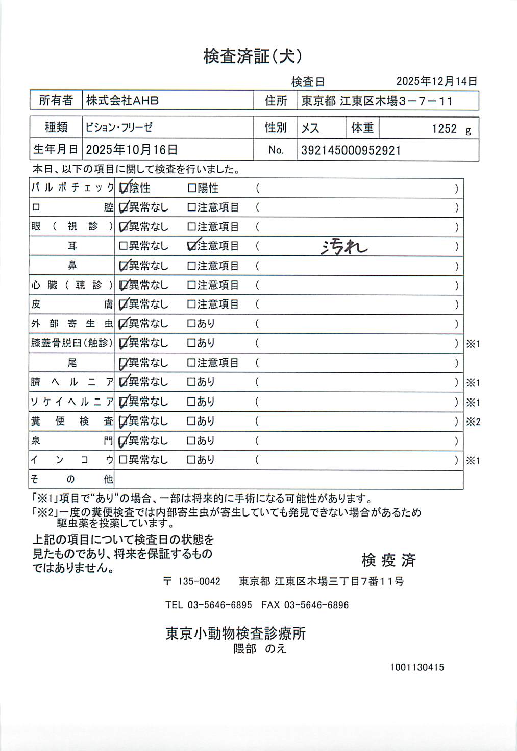 ビション・フリーゼ