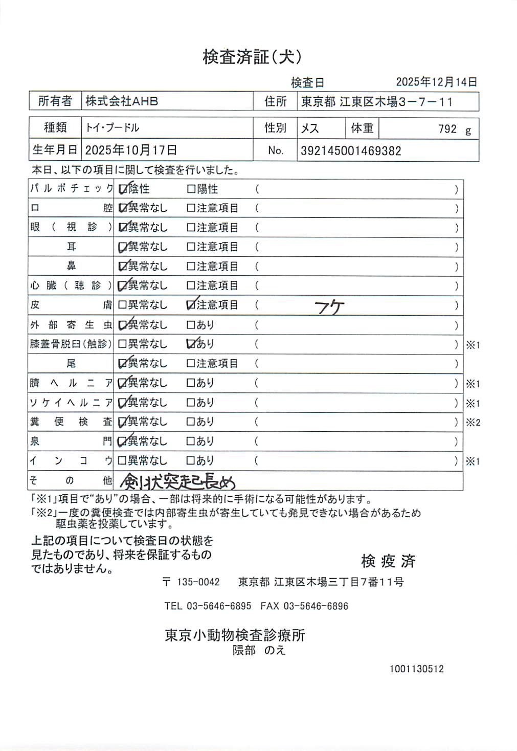 トイ・プードル