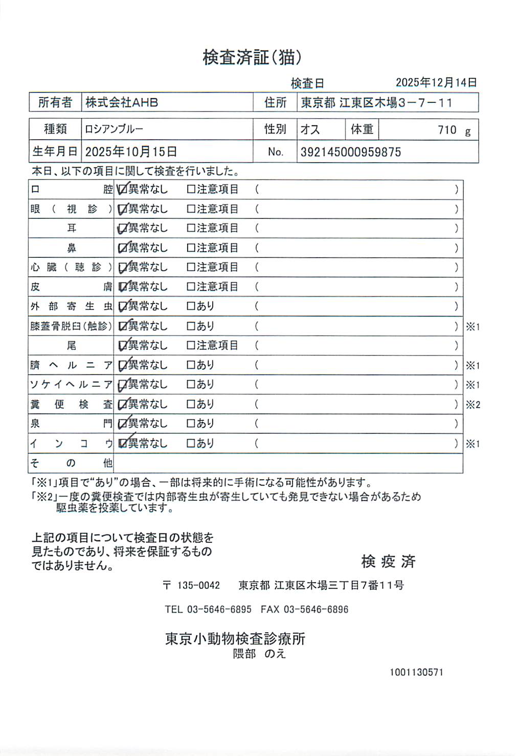 ロシアンブルー