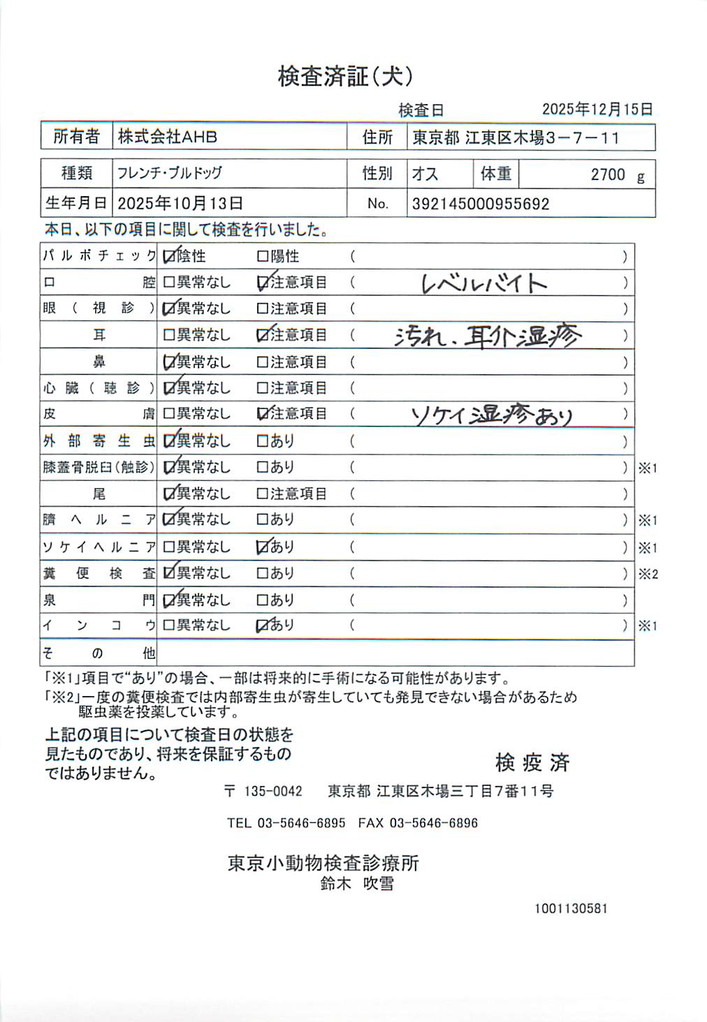 フレンチ・ブルドッグ