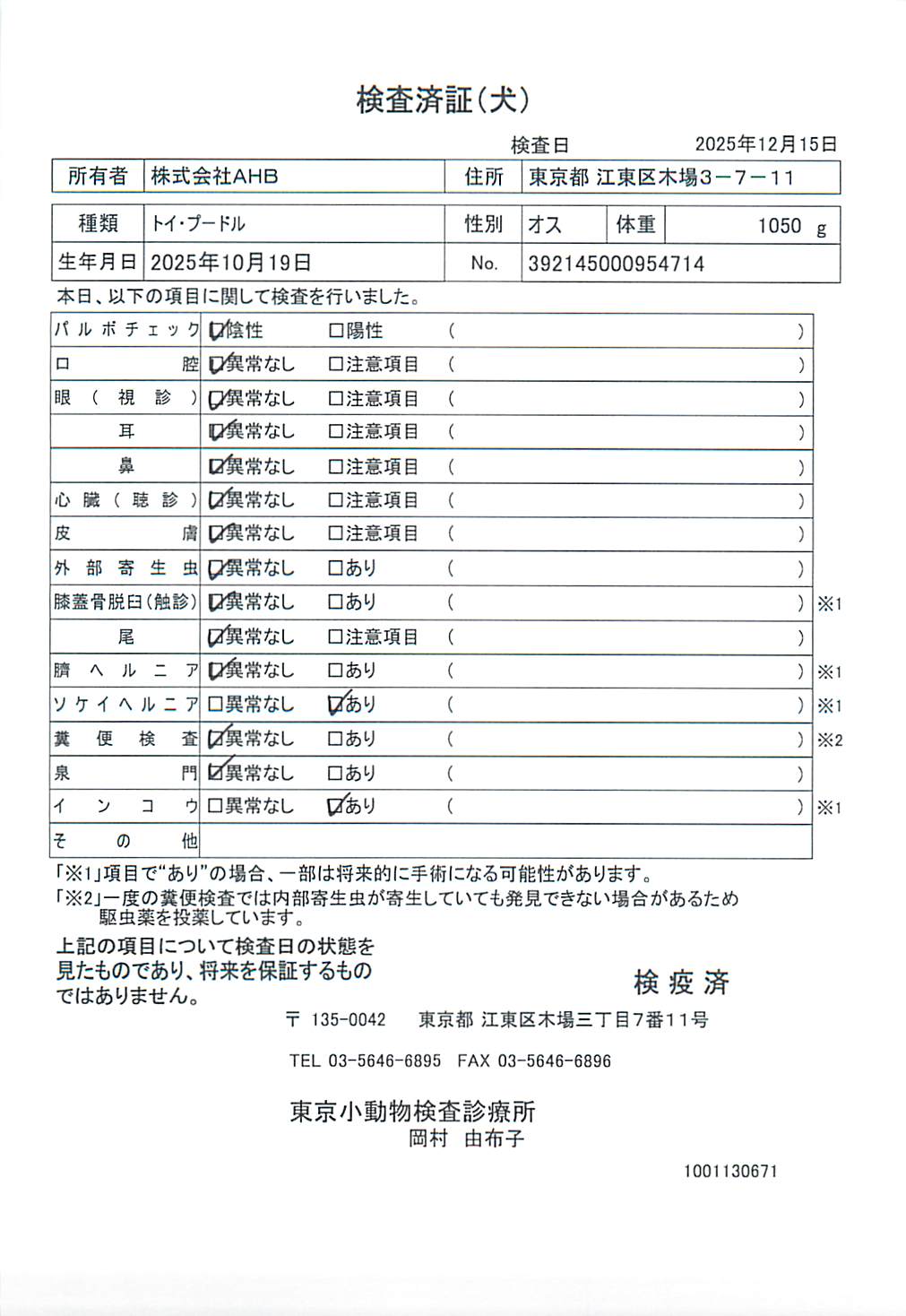 トイ・プードル