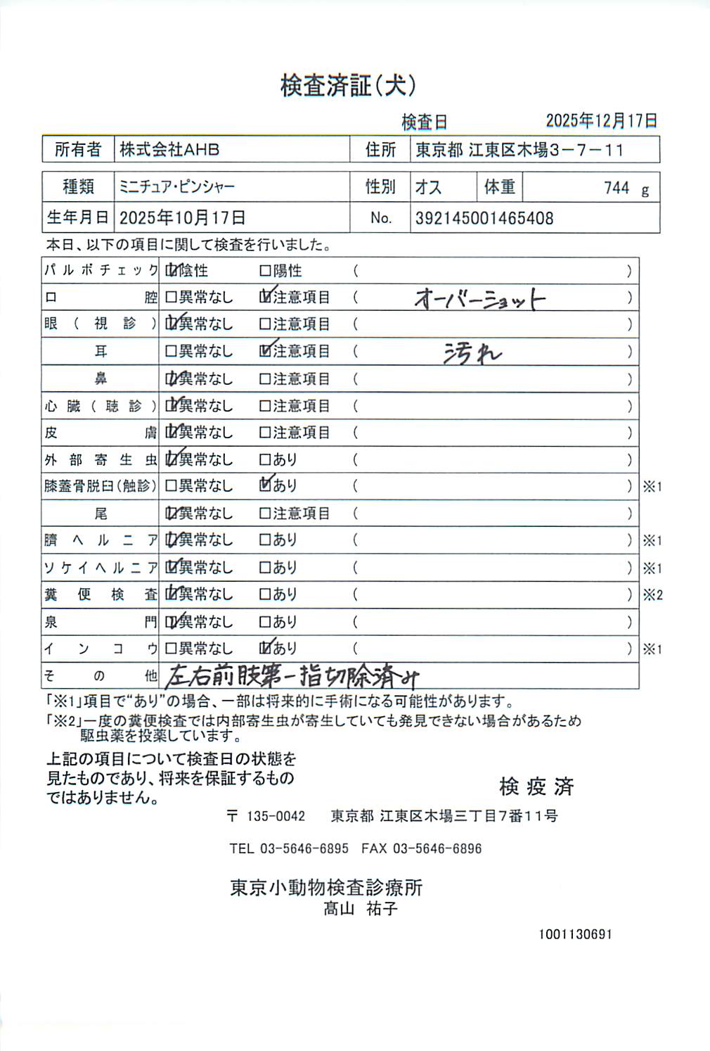 ミニチュア・ピンシャー