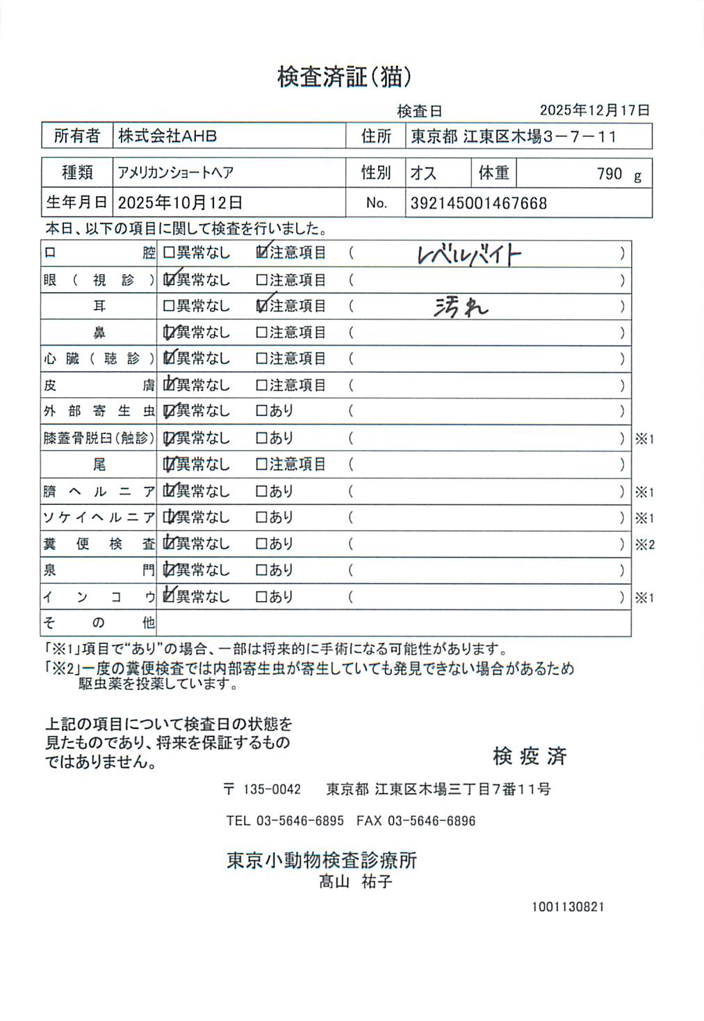 アメリカンショートヘア