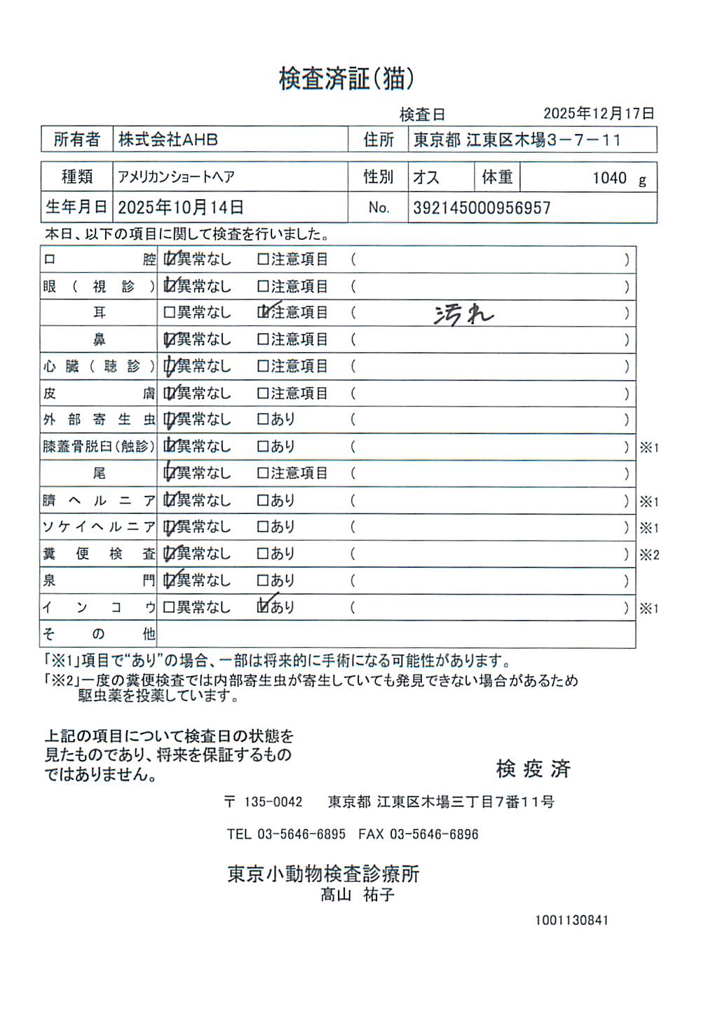 アメリカンショートヘア