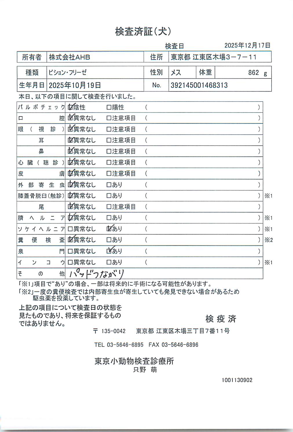 ビション・フリーゼ