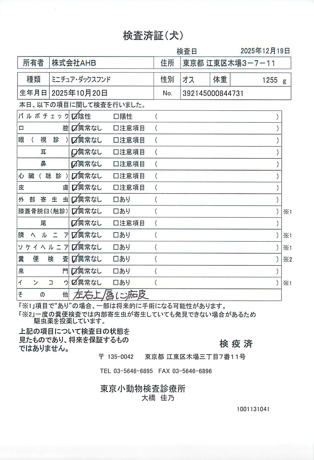 ミニチュア・ダックスフンド