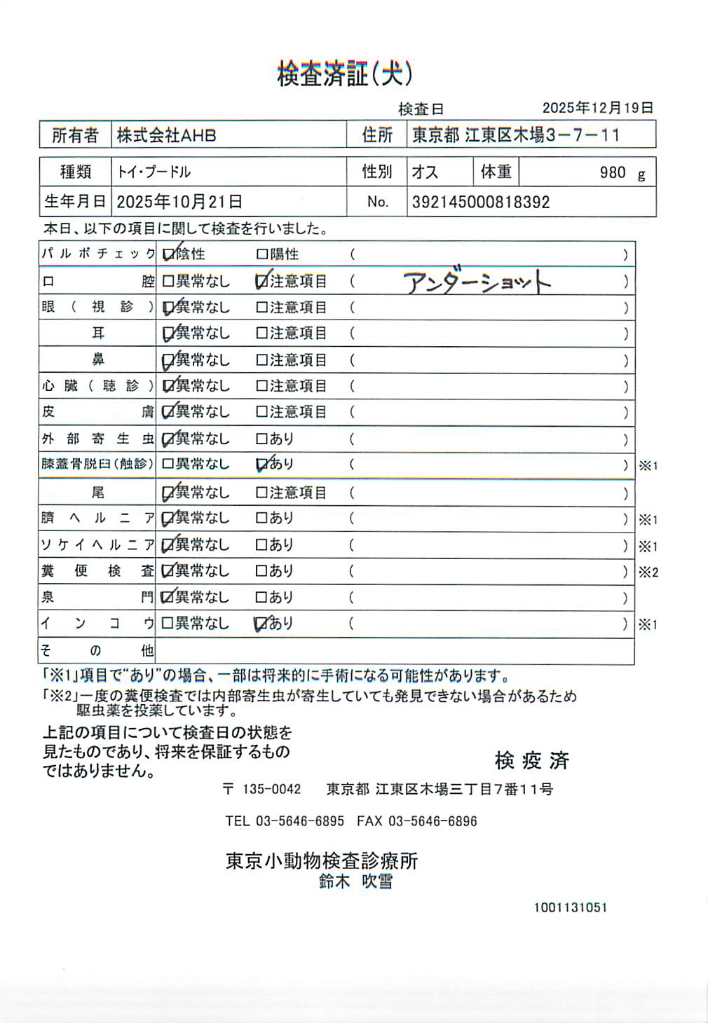 トイ・プードル