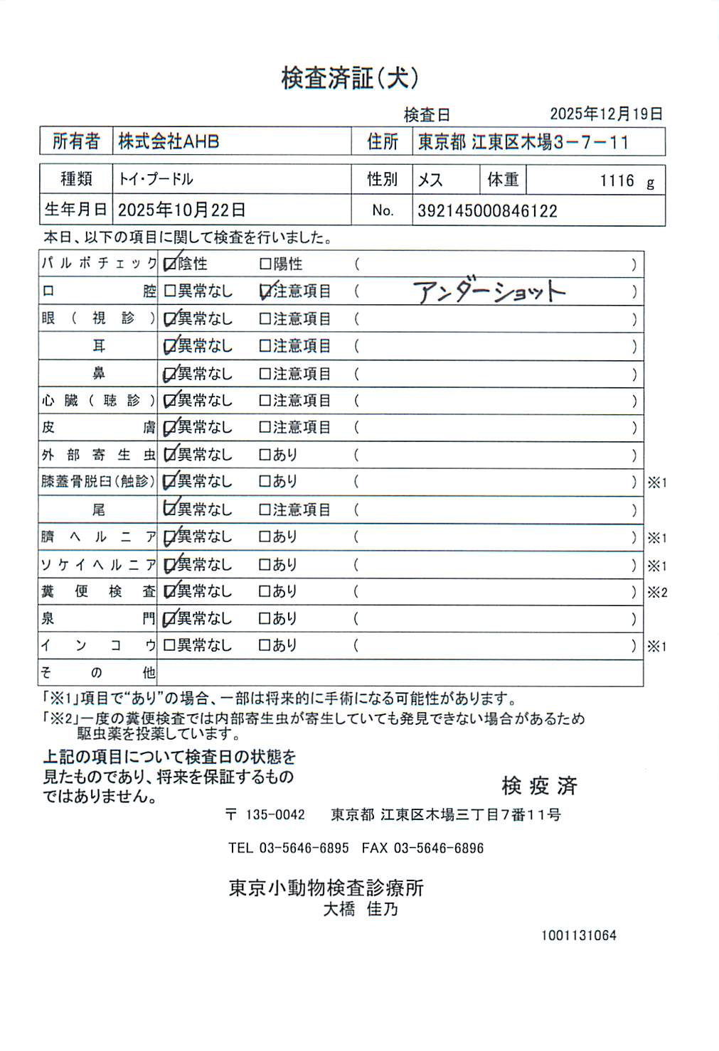 トイ・プードル