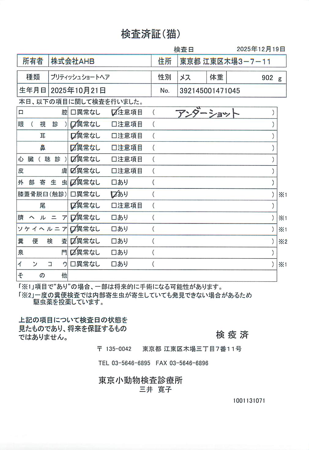ブリティッシュショートヘア