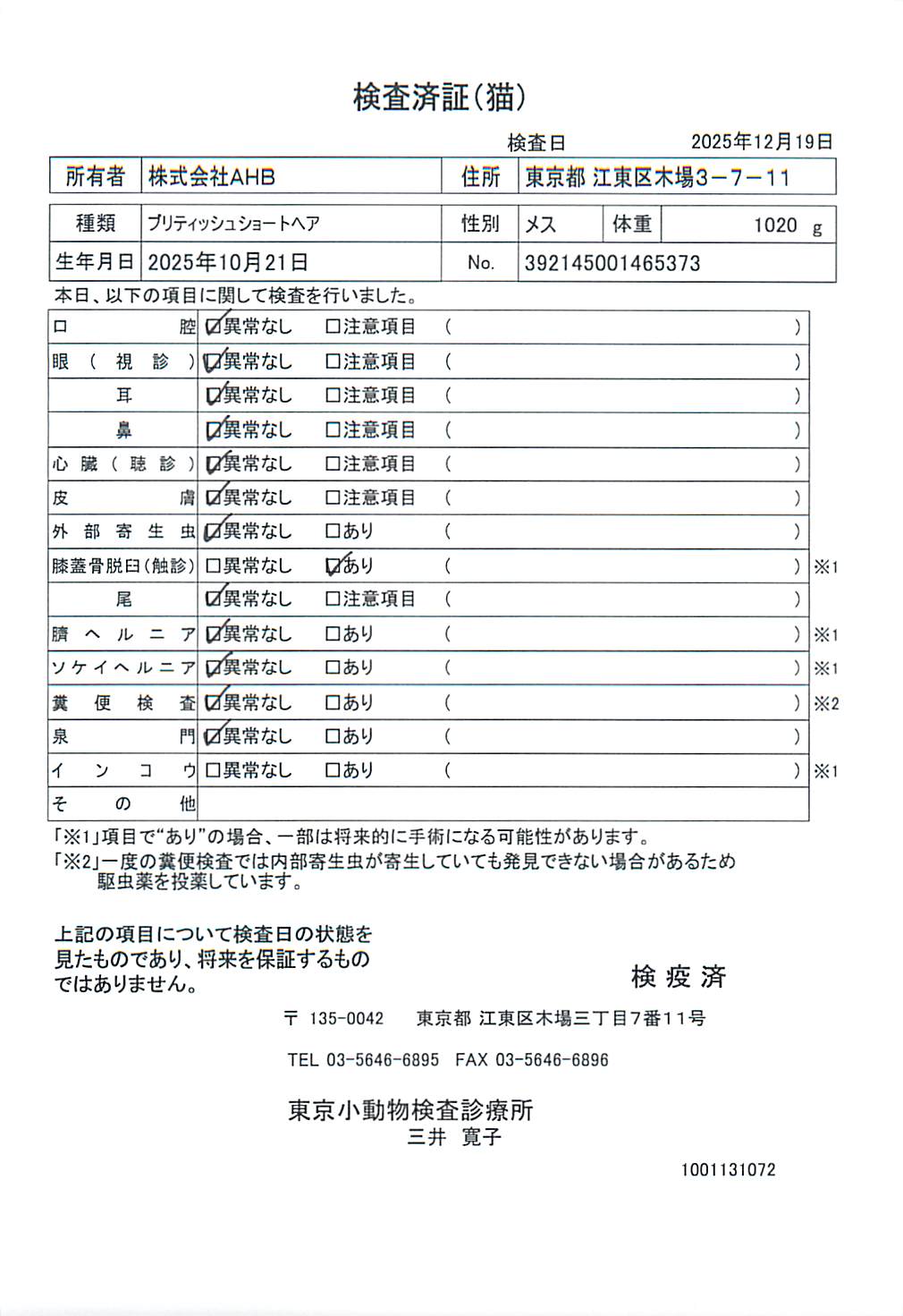 ブリティッシュショートヘア