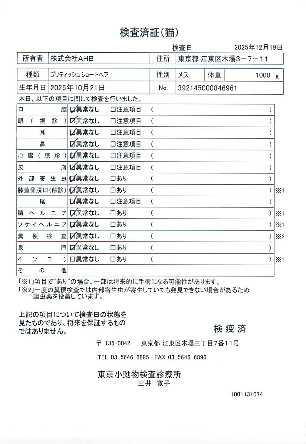 ブリティッシュショートヘア