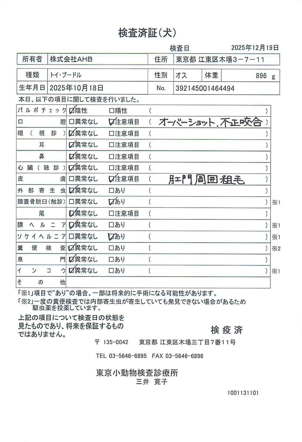 トイ・プードル