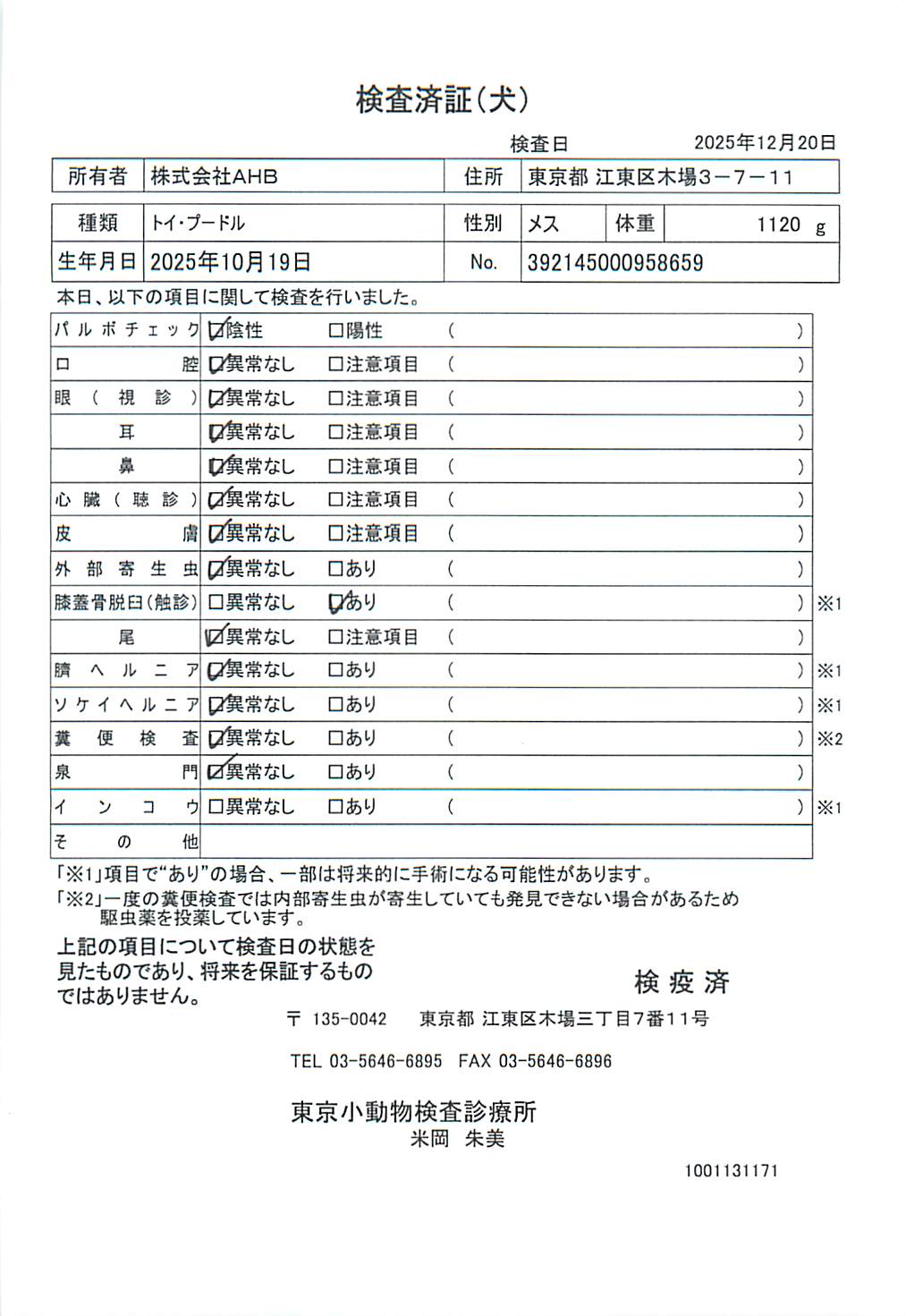 トイ・プードル