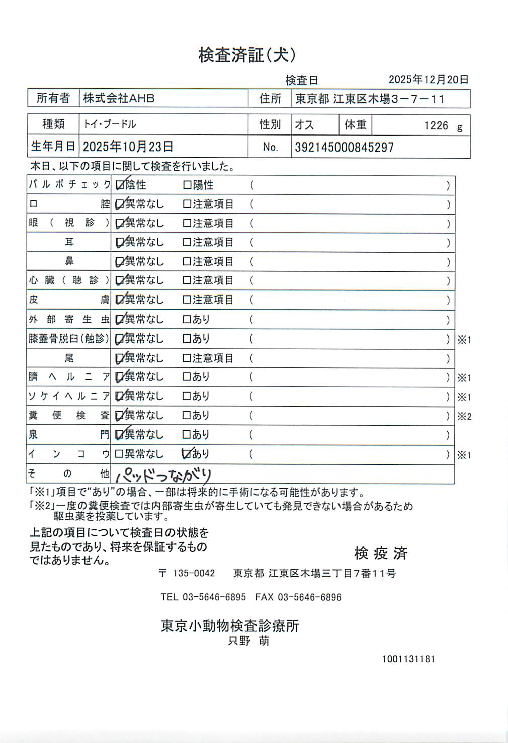 トイ・プードル
