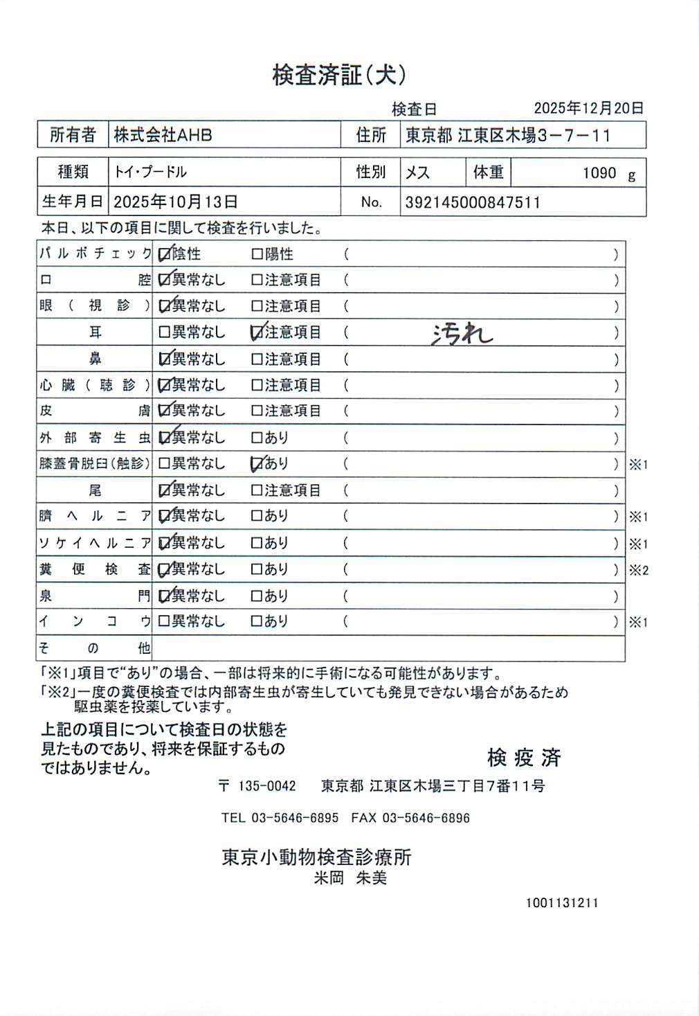 トイ・プードル