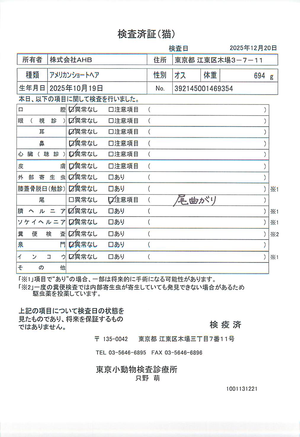 アメリカンショートヘア
