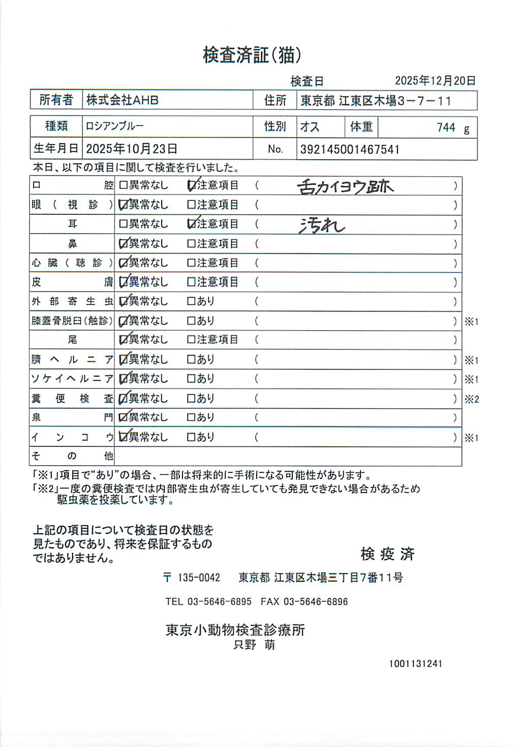 ロシアンブルー