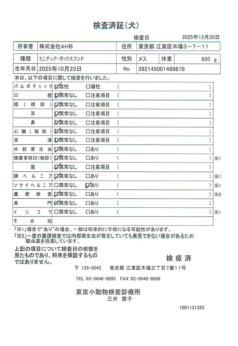ミニチュア・ダックスフンド