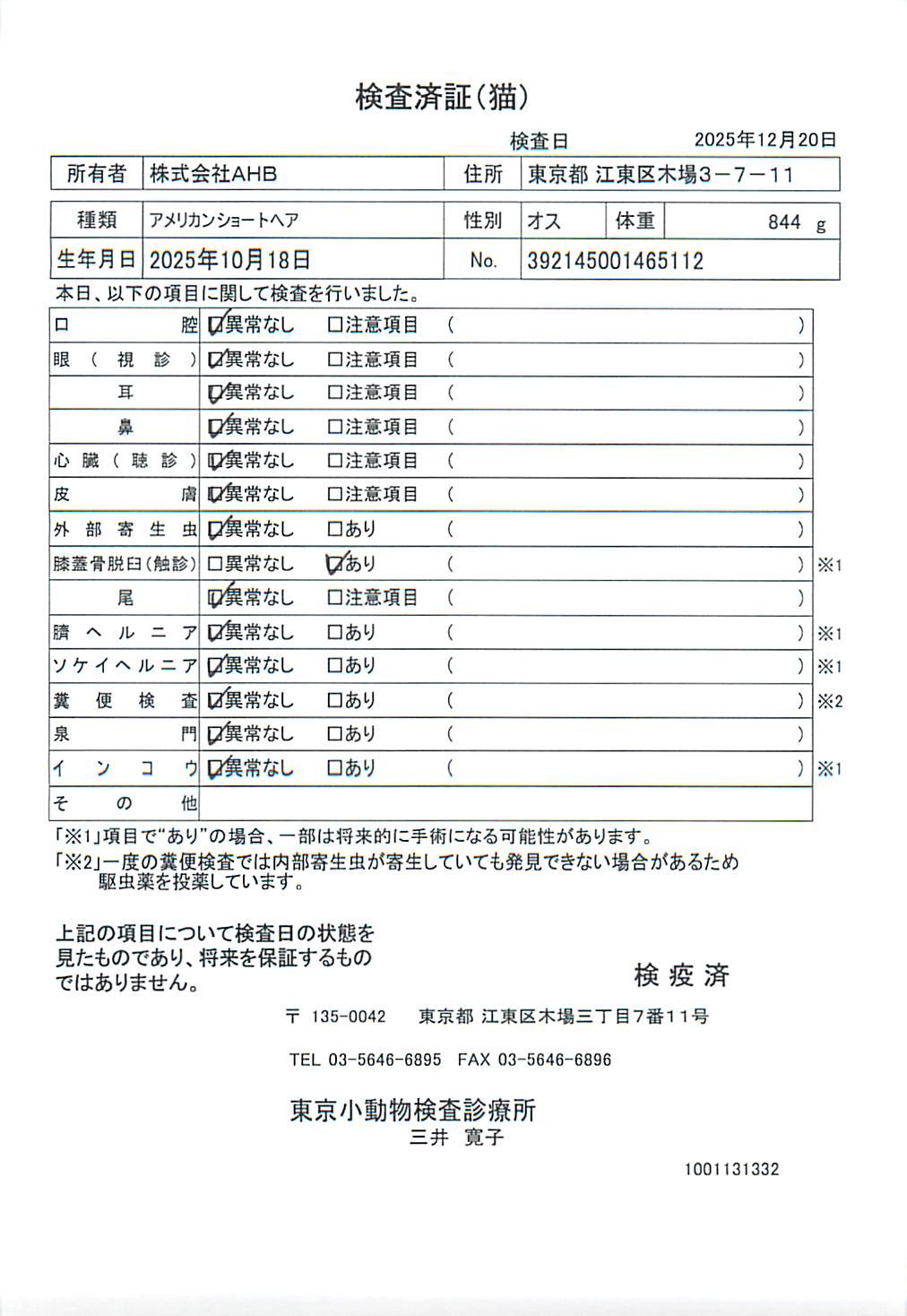 アメリカンショートヘア