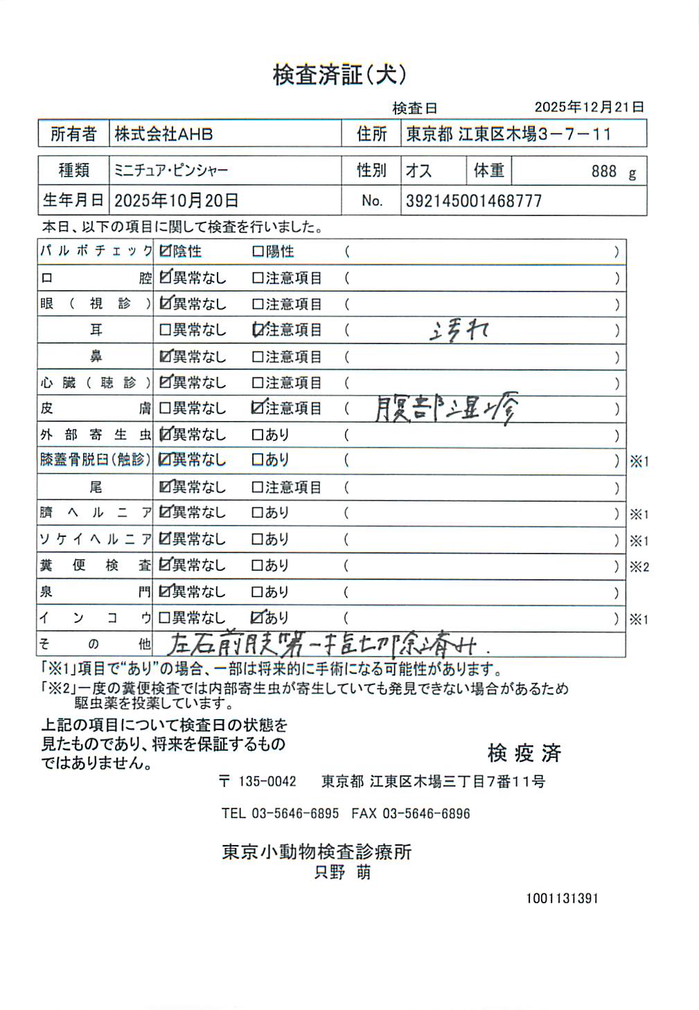 ミニチュア・ピンシャー