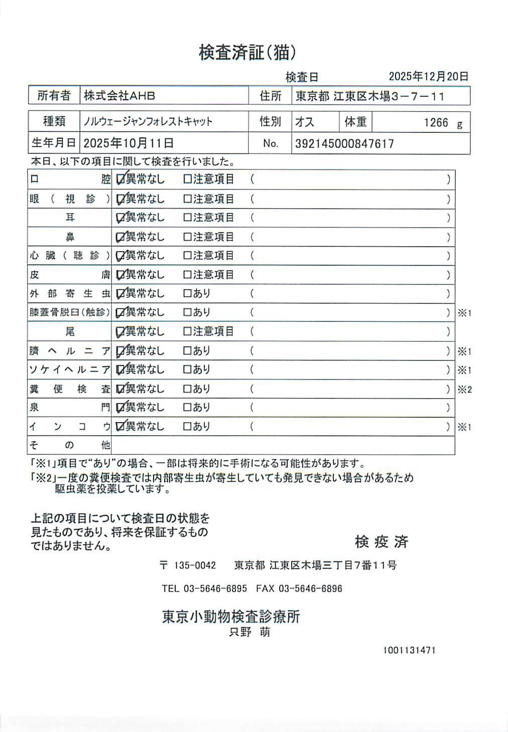 ノルウェージャンフォレストキャット