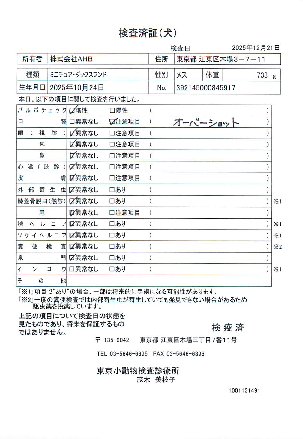 ミニチュア・ダックスフンド