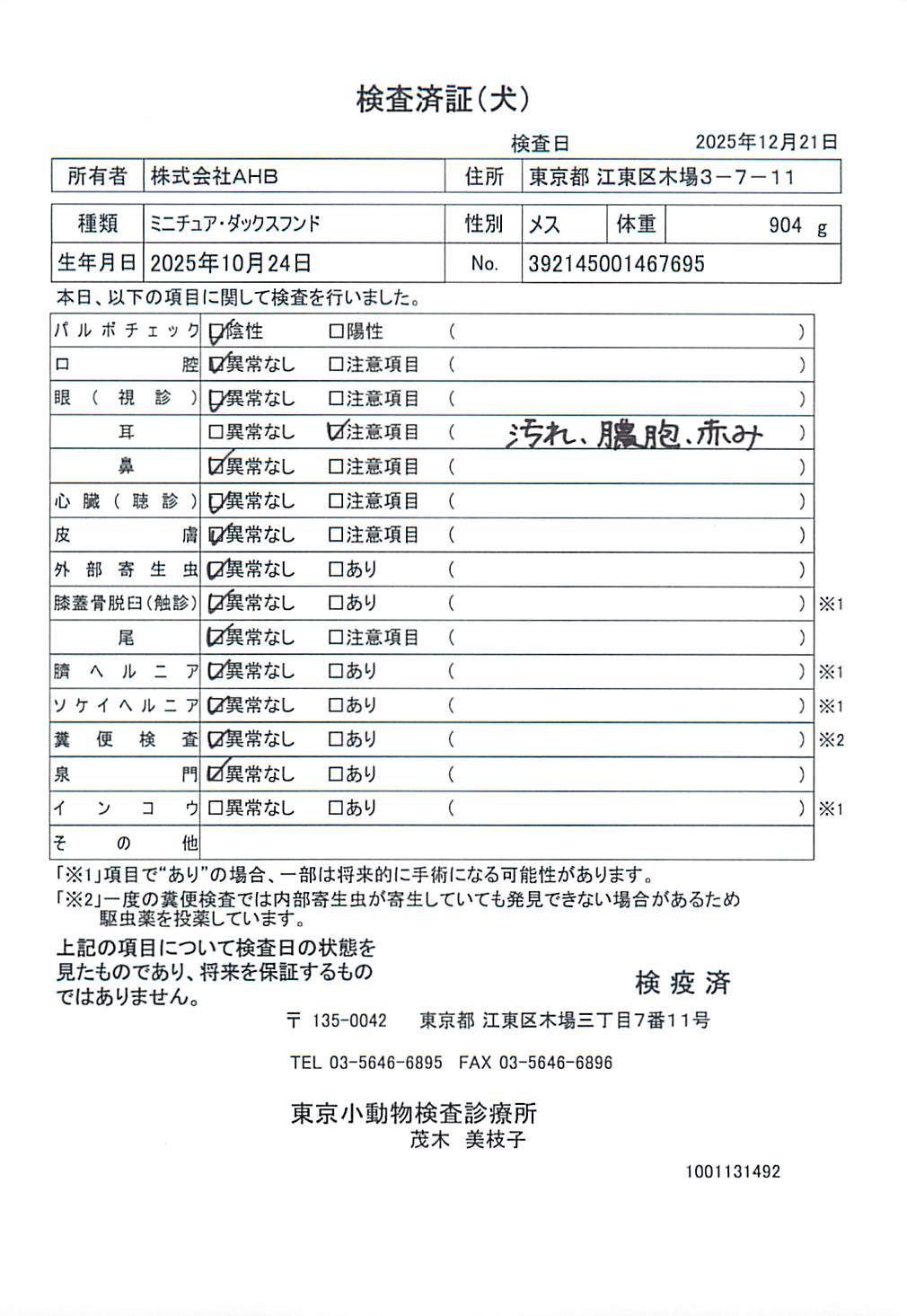 ミニチュア・ダックスフンド