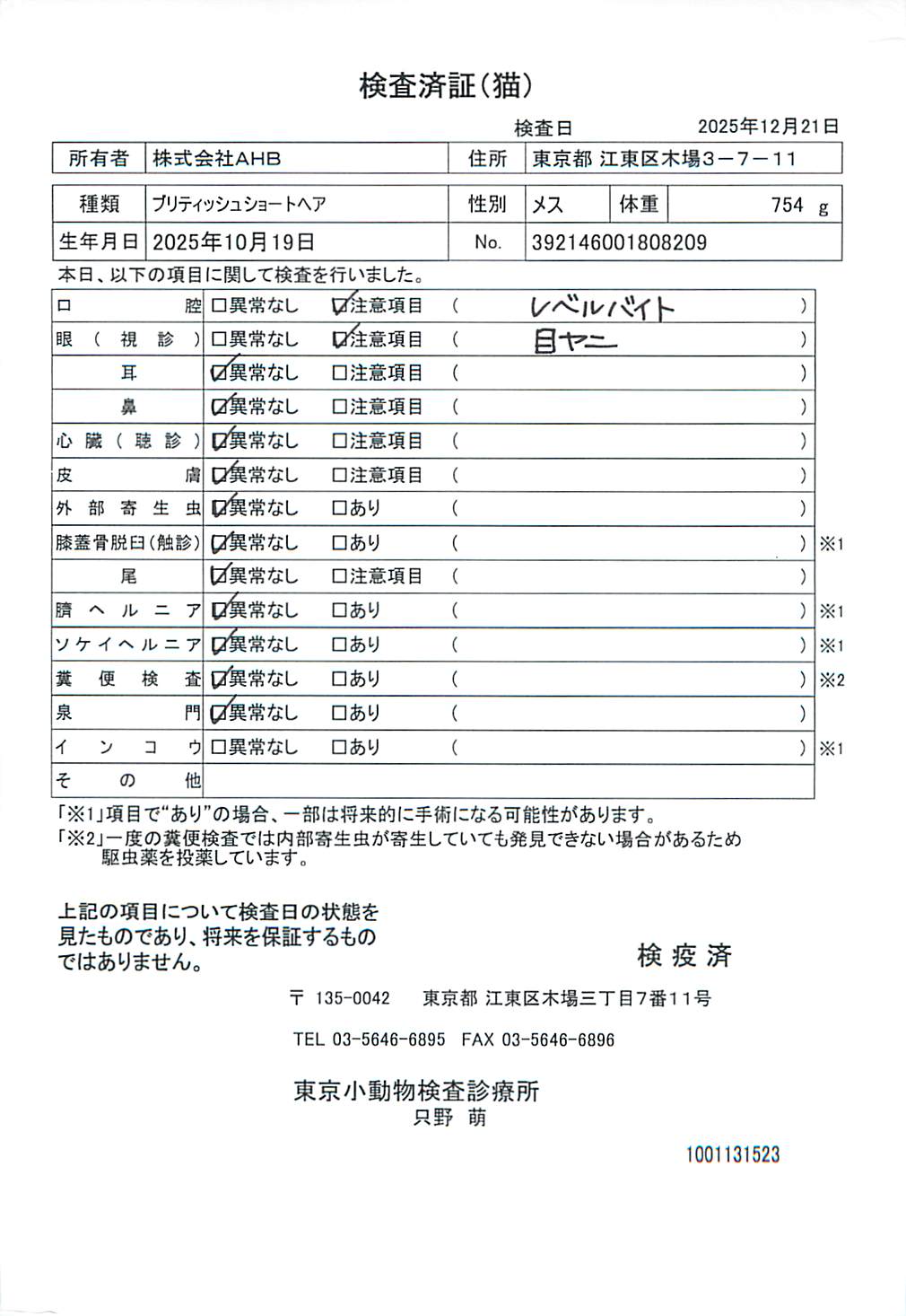 ブリティッシュショートヘア