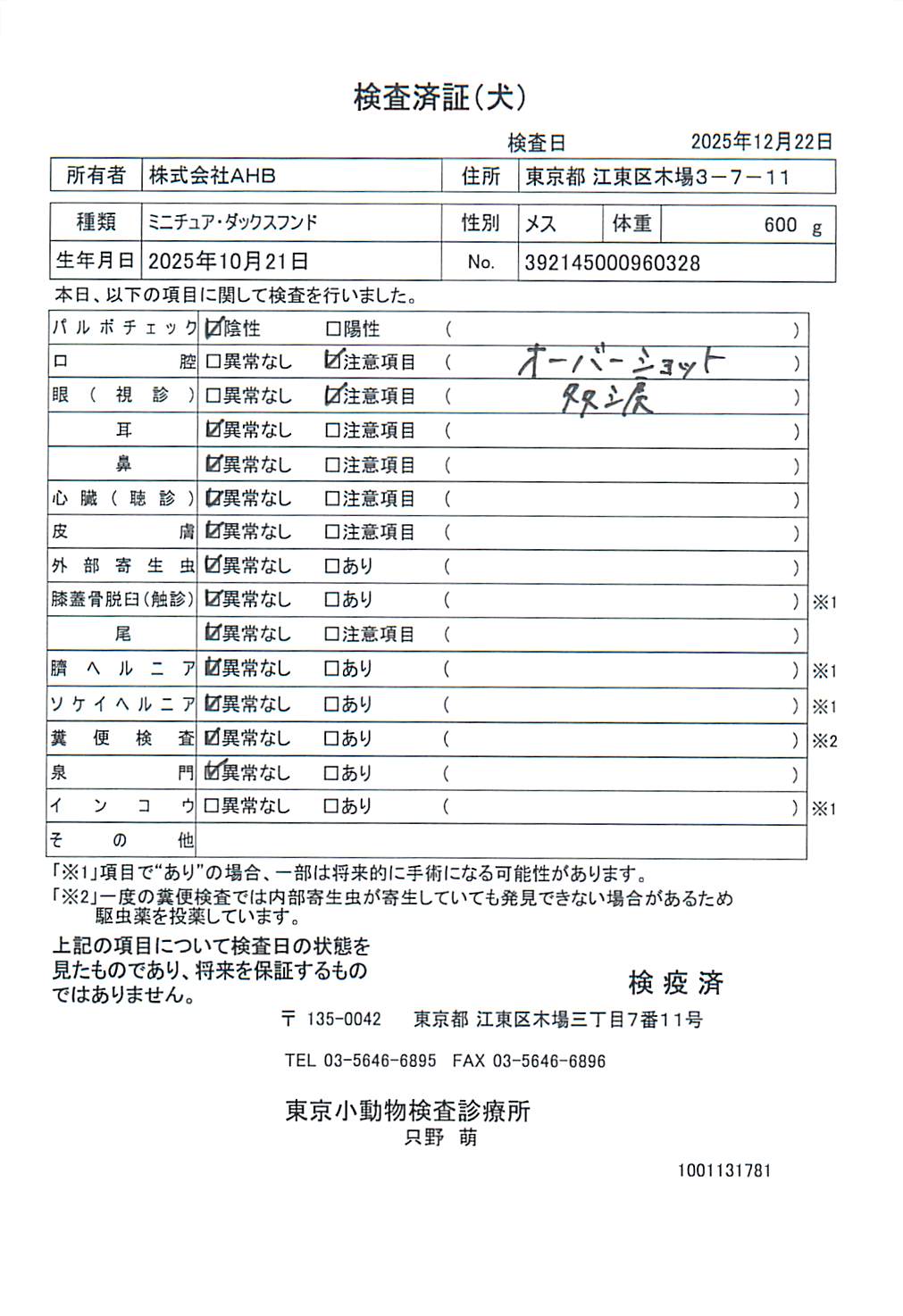 ミニチュア・ダックスフンド