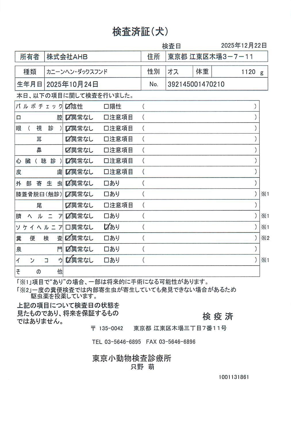カニーンヘン・ダックスフンド