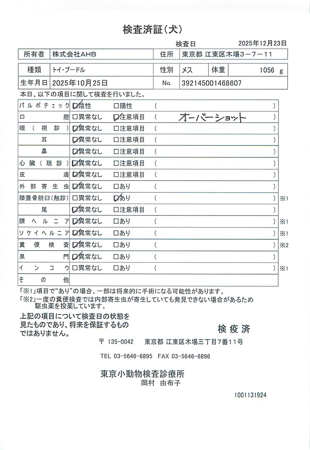 トイ・プードル