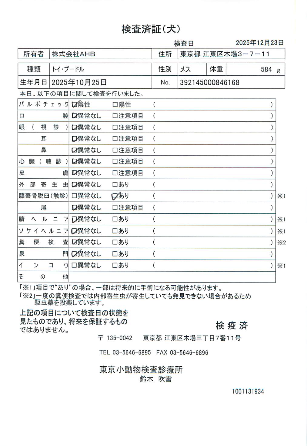 トイ・プードル
