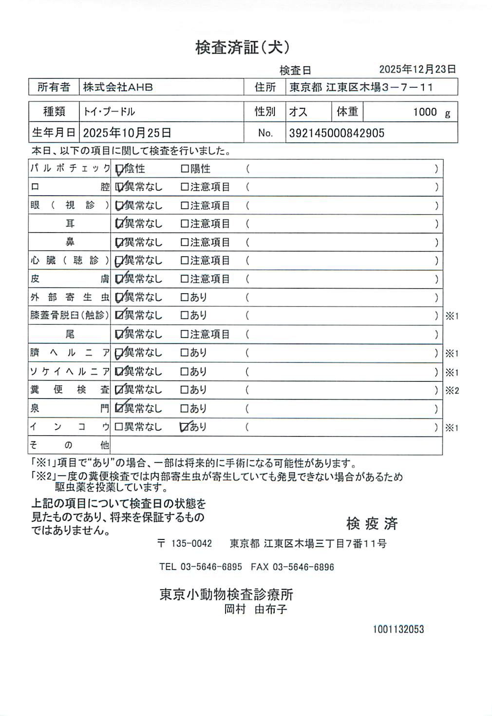 トイ・プードル