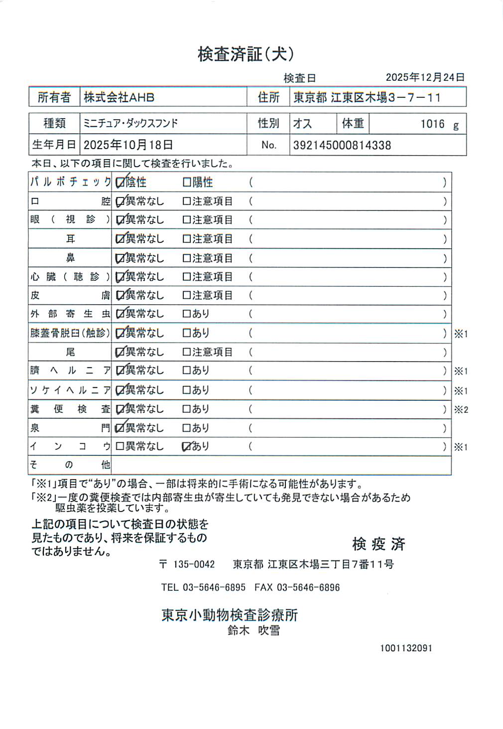 ミニチュア・ダックスフンド