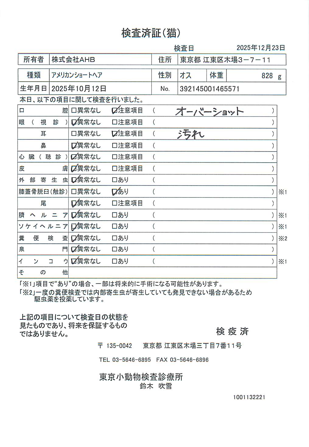 アメリカンショートヘア