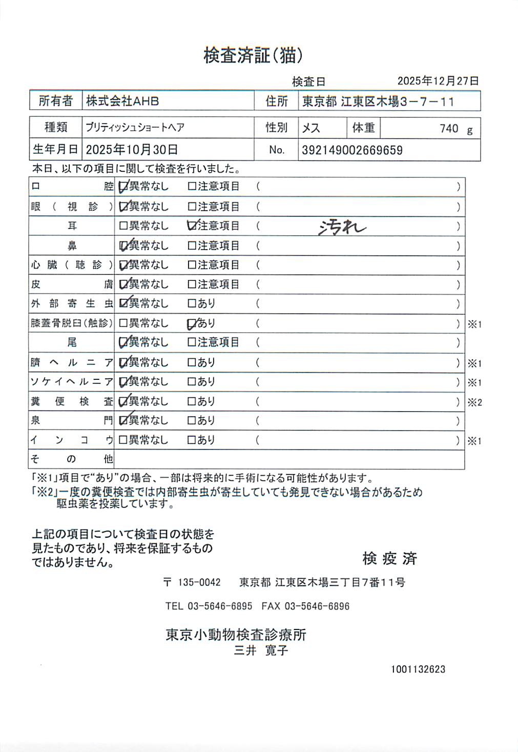 ブリティッシュショートヘア