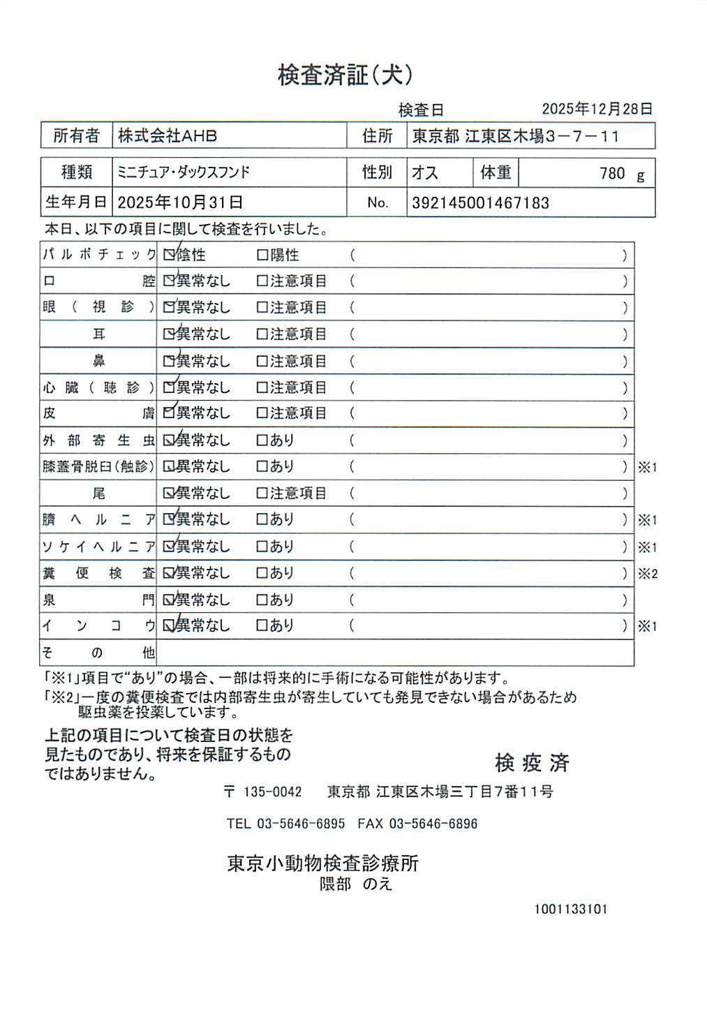 ミニチュア・ダックスフンド