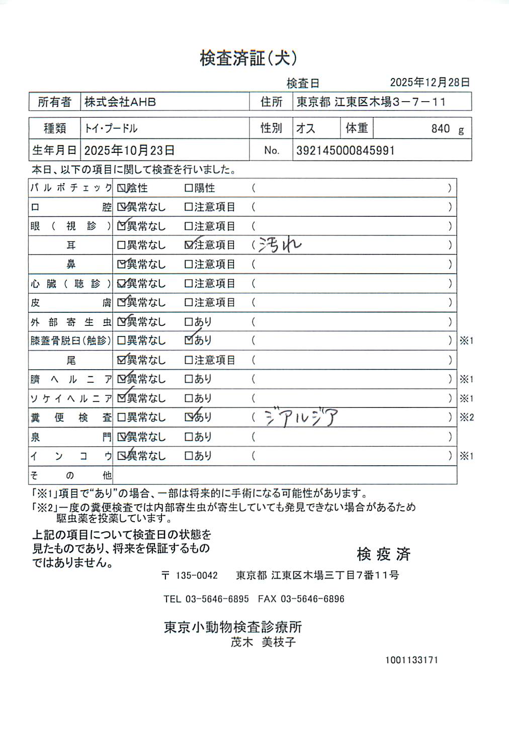 トイ・プードル