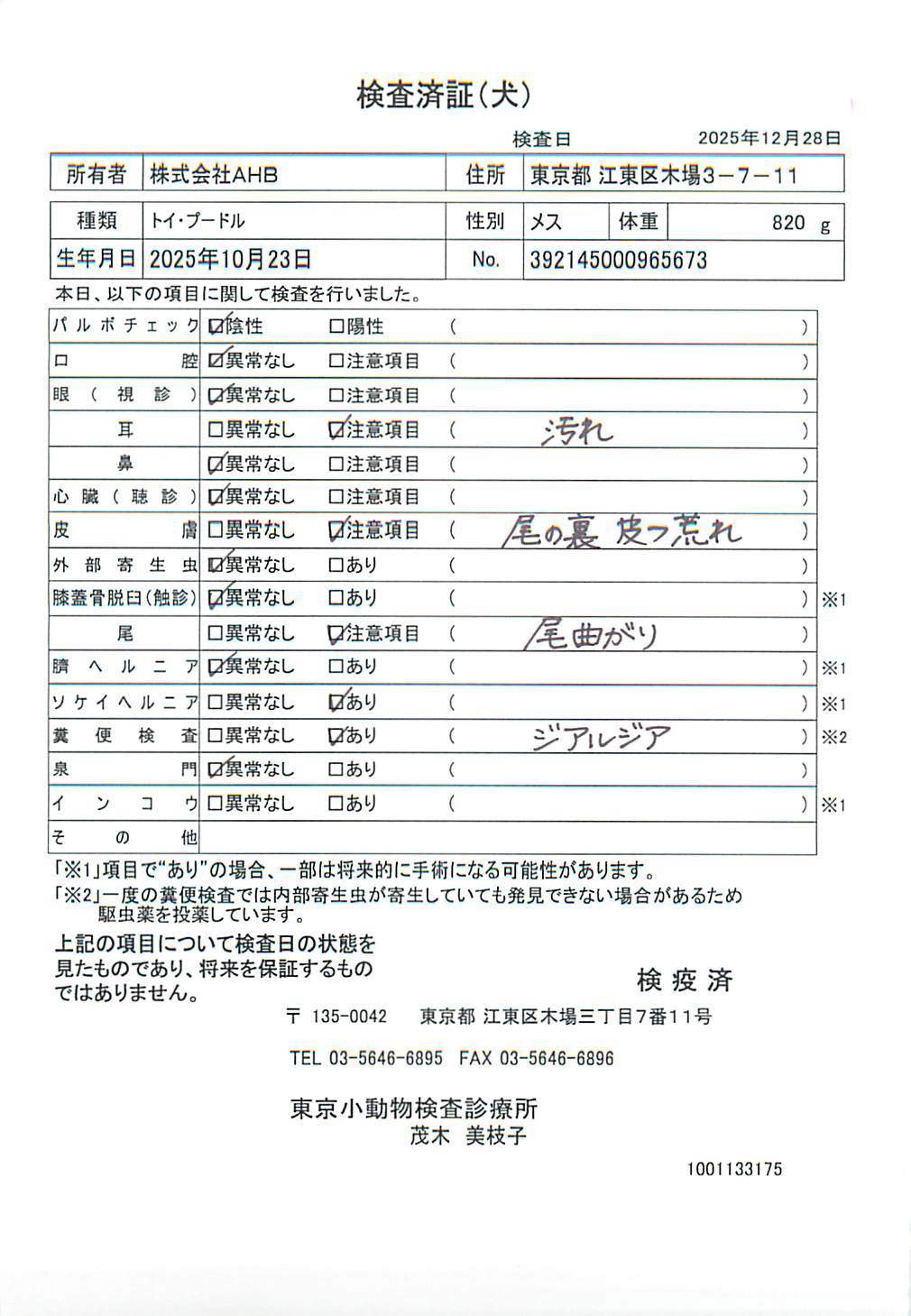 トイ・プードル